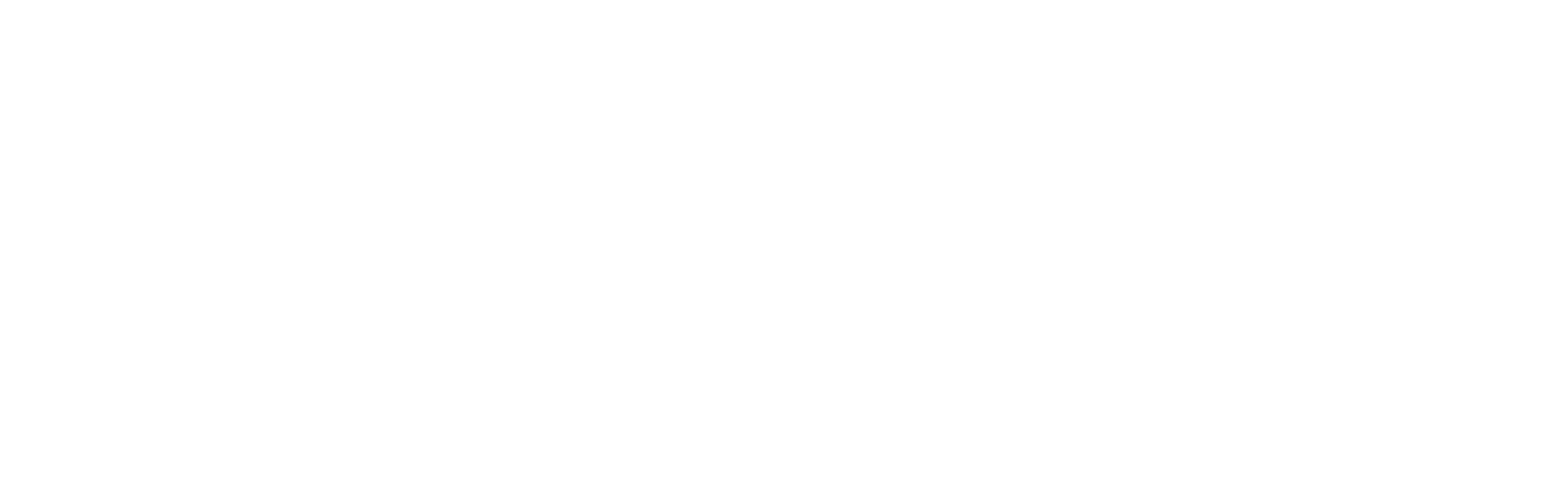 Tiago Bettencourt Store